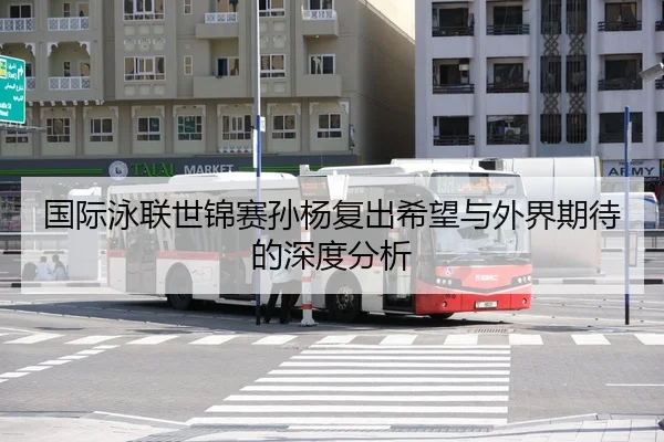 国际泳联世锦赛孙杨复出希望与外界期待的深度分析