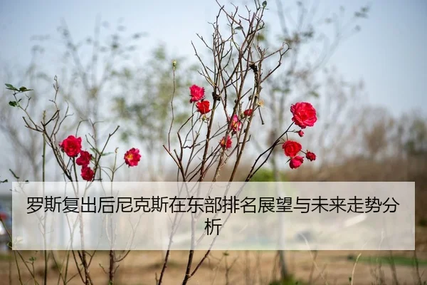 罗斯复出后尼克斯在东部排名展望与未来走势分析